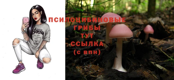 мет Абаза