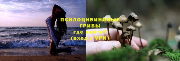 тгк Абинск
