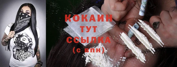 тгк Абинск