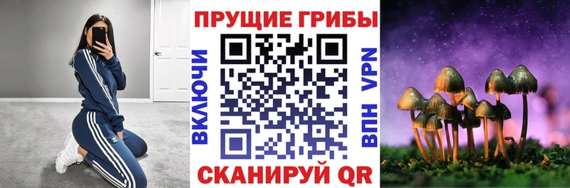 ссылка на мегу как войти  Петровск  Псилоцибиновые грибы Magic Shrooms 